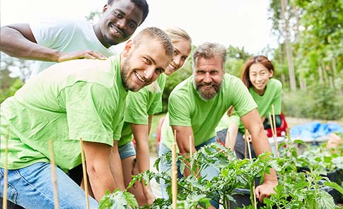 Tandia Community Focus